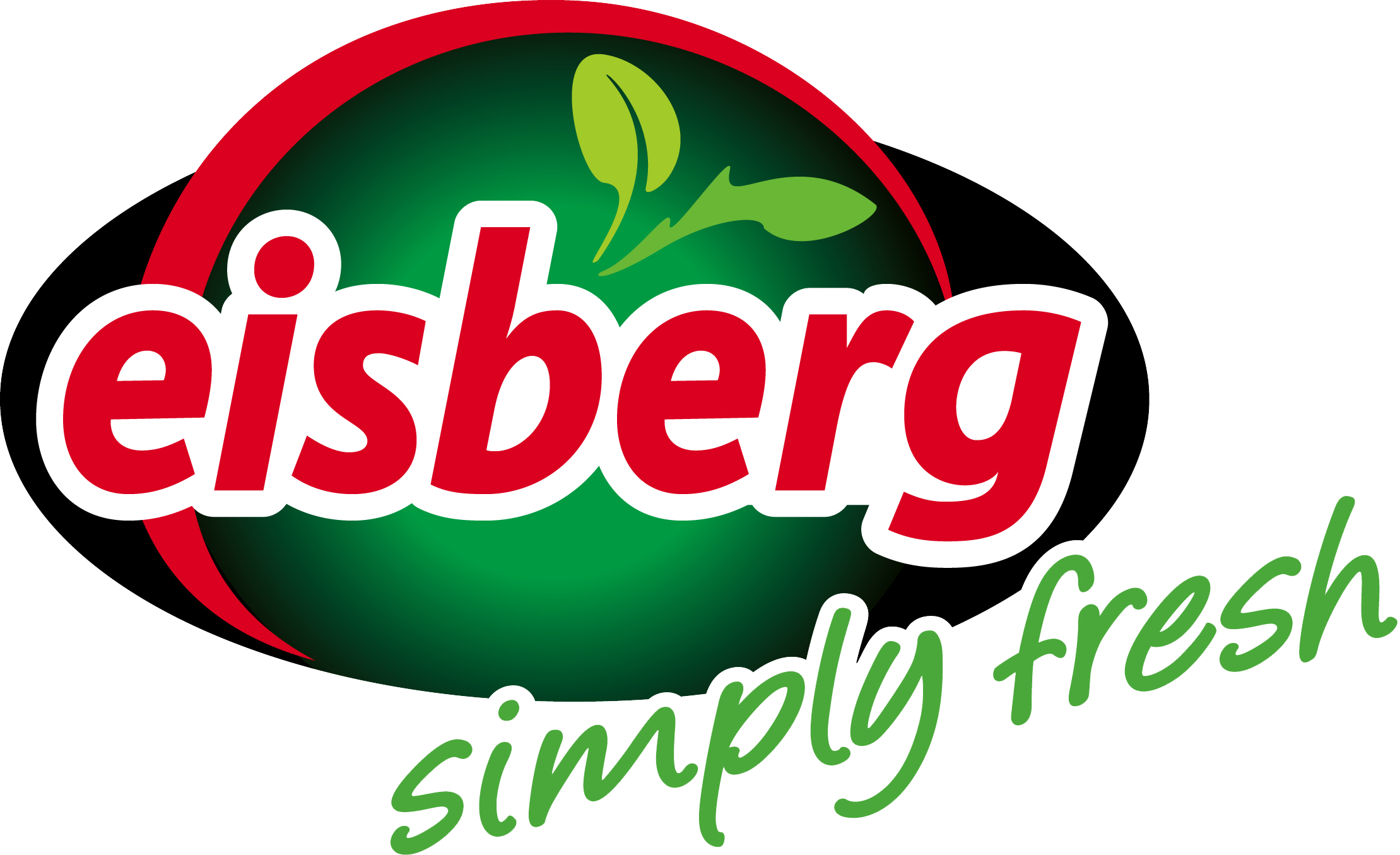 EISBERG logo